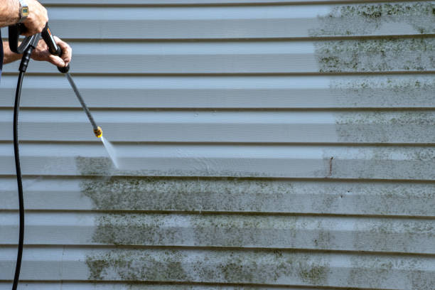 Best Carpet Removal and Disposal  in Hinsdale, IL